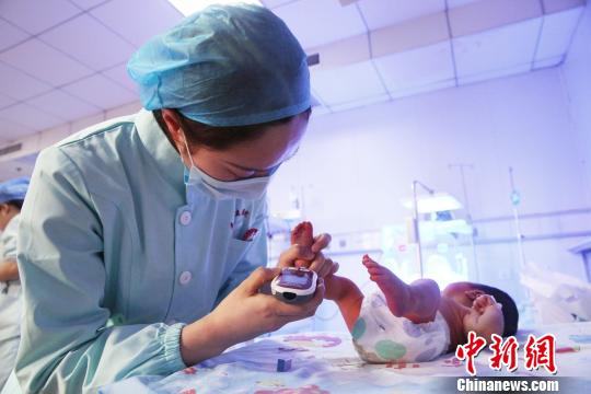 醫(yī)院新生兒科，護士正在給一名新生嬰兒采集足跟血。　陳東 攝