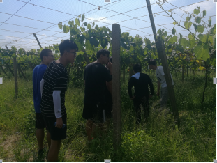 微信圖片_20180827095314.png